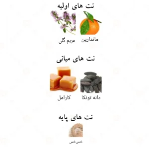 So Candid Pour Homme ادکلن سو کاندید پور هوم الحمبرا3
