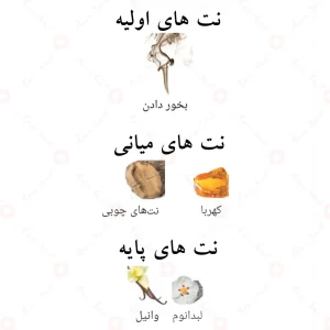 ادکلن الحمبرا میستریوس امبر Alhambra Mysterious Amber4