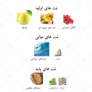 ادکلن انکد بلو الحمبرا | Encode Blue Alhambra
