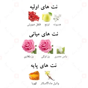 ادکلن اینفینی رز الحمبرا | Infini rose Alhambra