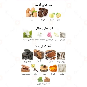 ادکلن بد فم الحمبرا | Alhambra B.A.D FEMME