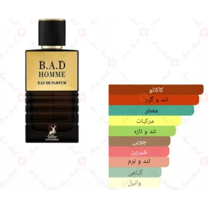 ادکلن بد هوم الحمبرا | Alhambra B.A.D Homme