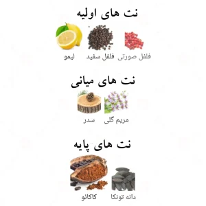 ادکلن بد هوم الحمبرا | Alhambra B.A.D Homme