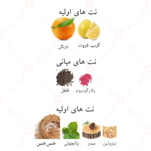 ادکلن تورو الحمبرا | Alhambra Toro Pour Home