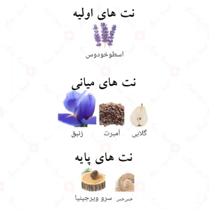 ادکلن دارک در اینتنس | dark door intense