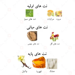 ادکلن دومینو اسنس | domino essence