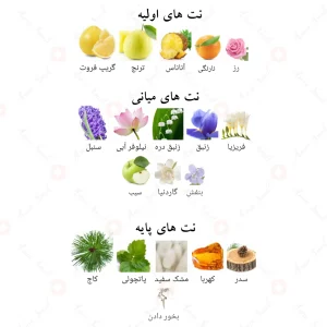 ادکلن زنو الحمبرا | zeno Alhambra