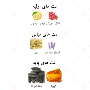 ادکلن ویکتوریوسو ویکتوری | Alhambra Victorioso Victory