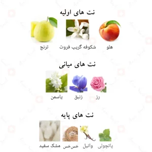 ادکلن چنتس الحمبرا | Chants Tenderina Alhambra
