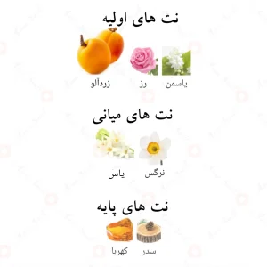 ادکلن کیسمت الحمبرا | Alhambra Kismet