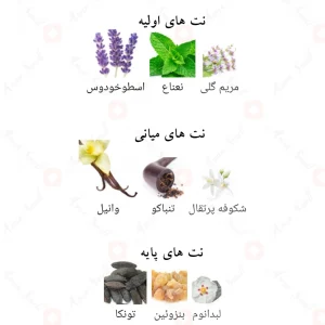 ادوپرفیوم المملکه مردانه لطافه The Kingdom Lattafa Male4