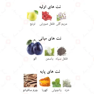 ادوپرفیوم النشامه لطافه Al Nashama Lattafa4