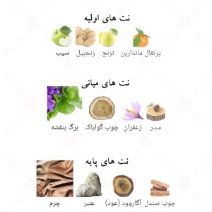 ادوپرفیوم نجده تریبیوت لطافه Najdia Tribute Lattafa4