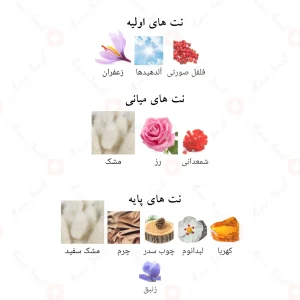 ادکلن آمبرلی اموروسو الحمبرا Alhambra Amberley Amouroso