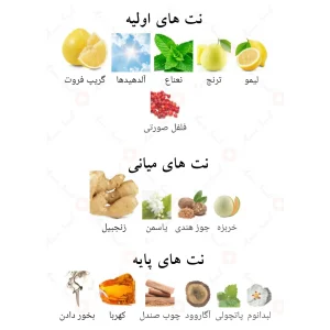 ادکلن الحمبرا ماتیر د بلو Alhambra Maitre De blue