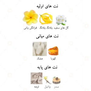 ادکلن الحمبرا ناریسا امبر Alhambra Narissa Ambre