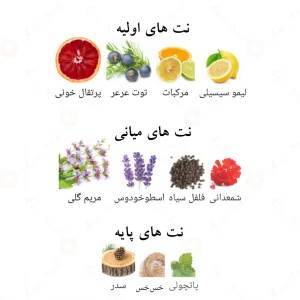 ادکلن الحمبرا کینگزمن Alhambra Kingsman