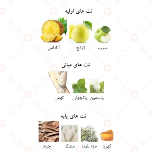 ادکلن الدرالمک لطافه Lattafa AL DUR AL MAKNOON4