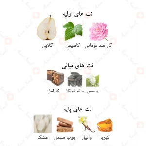 ادکلن المملکه زنانه لطافه The Kingdom Lattafa Female5