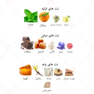 ادکلن النبل وزیر لطافه Al Noble Wazeer Lattafa4