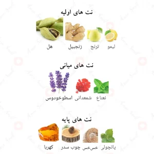 ادکلن النشامه کاپریس لطافه Al Nashama Caprice Lattafa4