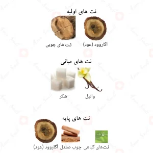 ادکلن امیر العود اینتنس لطافه Ameer Al Oudh Intense Oud Lattafa4
