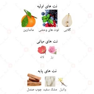 ادکلن انت فقط لطافه Lattafa Ente Faqat4