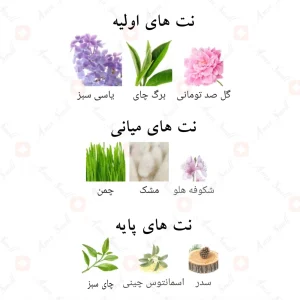 ادکلن اورا د اکلت الحمبرا Alhambra Aura D`ECLAT