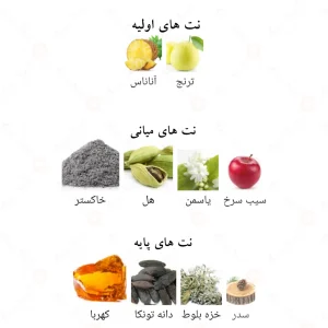 ادکلن اکسپوز اینتنس الحمبرا Alhambra Expose Intense