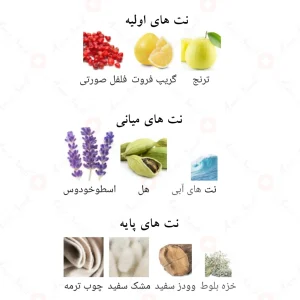 ادکلن اکسپوز بالانس الحمبرا Alhambra Expose Balance