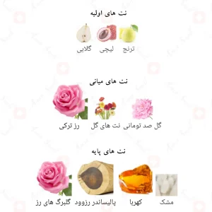 ادکلن اکسکلوزیف رز الحمبرا Exclusive Rose Alhambra