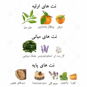 ادکلن اکویلو پور هوم الحمبرا Alhambra AQUILO Pour Homme