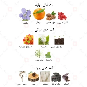 ادکلن بلک ادیشن الحمبرا Alhambra Black Edition