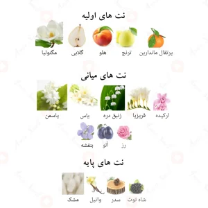 ادکلن جاردین د پاریس Alhambra Jardin de Paris