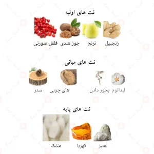 ادکلن حیاتی الملکی لطافه Lattafa Hayaati Maleky4