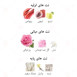 ادکلن دلیله پور فم الحمبرا Alhambra Dalilah Pour Femme