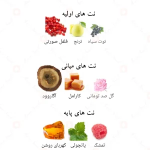 ادکلن رماد العود لطافه Lattafa Ramaad Al Oud4