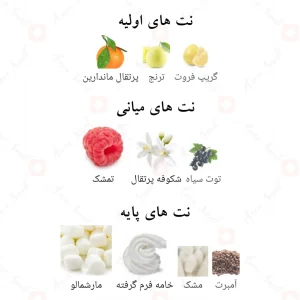 ادکلن رینا الحمبرا Alhambra Reyna