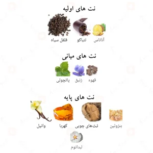 ادکلن سالو الکسیر الحمبرا Alhambra Salvo Elixir