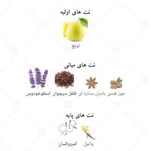ادکلن سالوو الحمبرا Alhambra Salvo intense