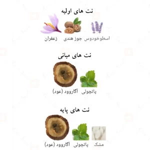 ادکلن عربی بدیع العود Lattafa Badee Al Oud4