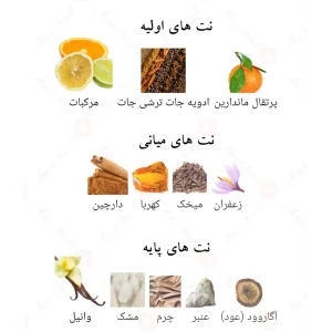 ادکلن عربی رائد نقره ای لطافه Raed Silver Lattafa4