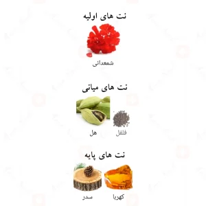 ادکلن عربی سر الملک لطافه Ser Al Malik Lattafa4