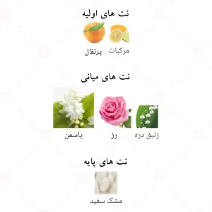 ادکلن عزیزه لطافه Lattafa Azeezah4