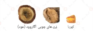 ادکلن عود ال صحرا لطافه Lattafa Oud Al Sahraa4