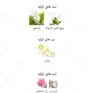 ادکلن فلورال امبروسیا الحمبرا Alhambra Floral Ambrosia