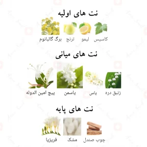ادکلن فلورال بلوم الحمبرا Alhambra Floral Bloom