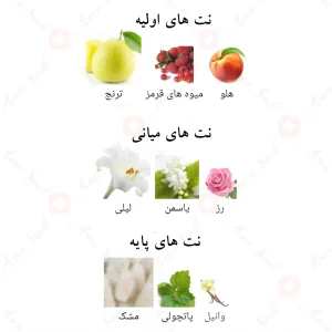 ادکلن فلورنس الحمبرا Alhambra Florence