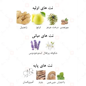 ادکلن لطافه تاویل Lattafa Ta’weel4