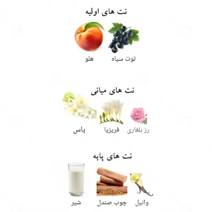 ادکلن لطافه روح ال بنات Lattafa Rooh Al Banat4